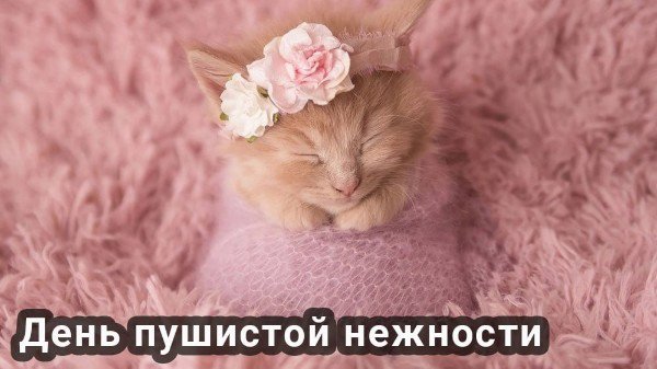 file_95197589