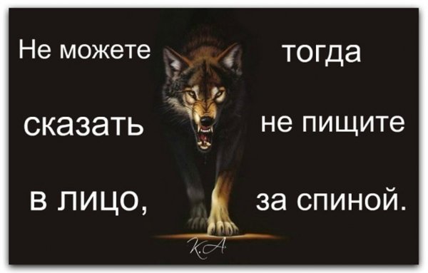 Не можете