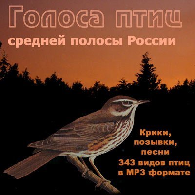 Голоса птиц - Соловей