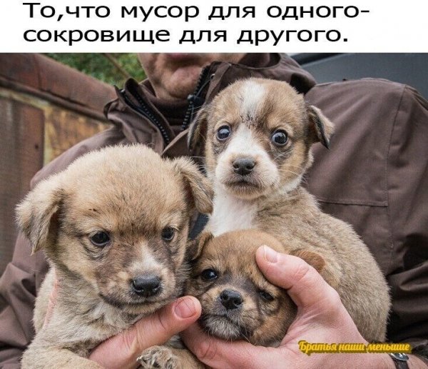 file_89914208