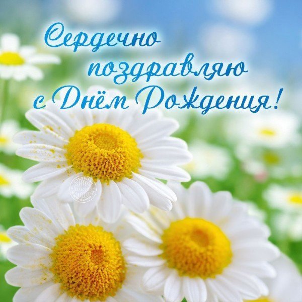 file_95104153