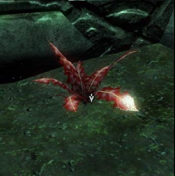 QuestNirna