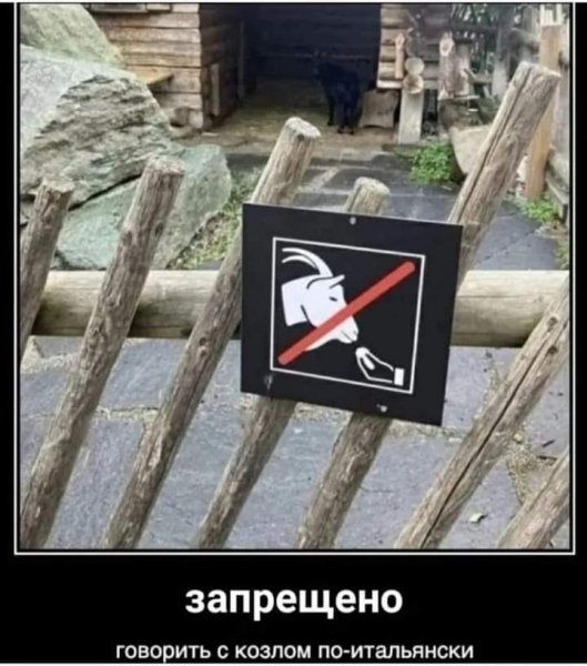 FB IMG 1729784902410