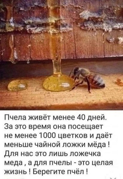 file_94789590