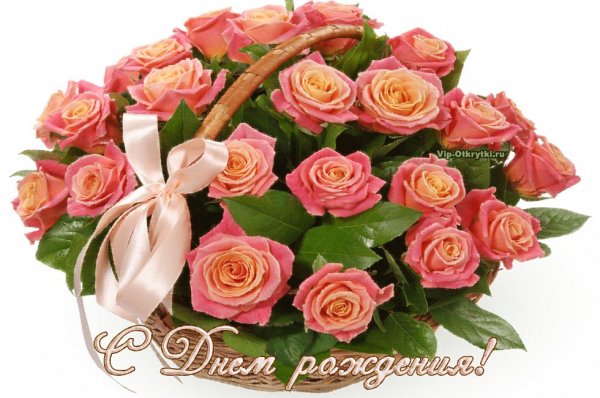 file_81334063
