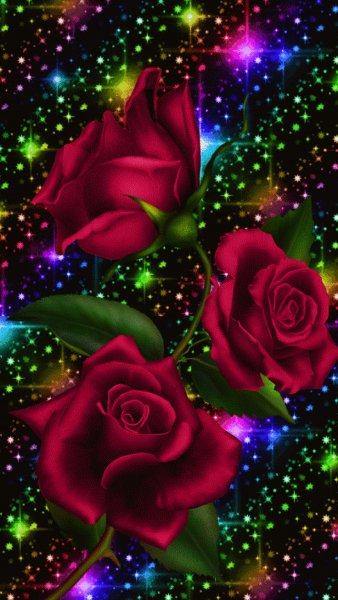 6be78f71dc9a62c34ed3d7e0ed5e9ec4
