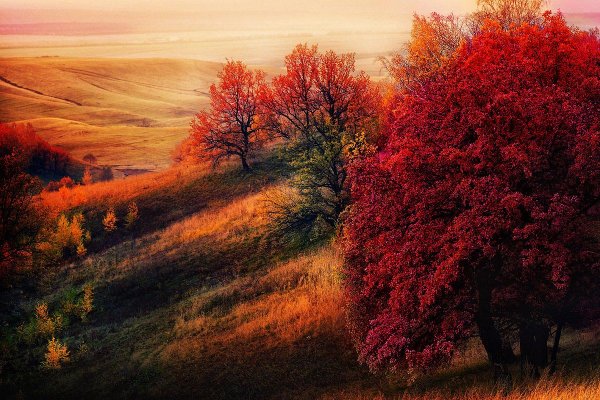 Осень обои ПК