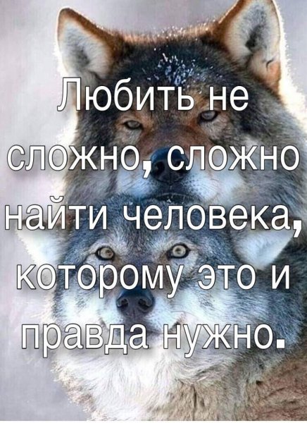 IMG 20250527 192839