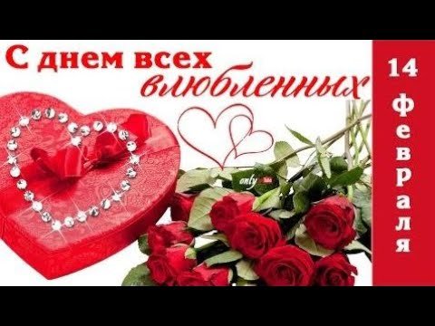 file_81221206