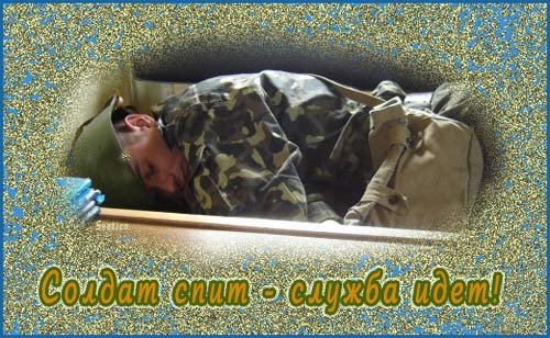 cards379