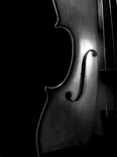 My Violin