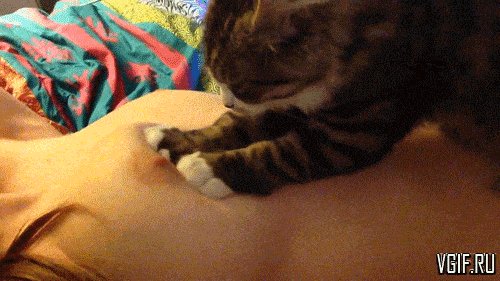 file_103350432