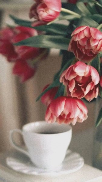 file_96307115