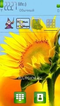 Sunny-Sunflower by Kiranbmehta