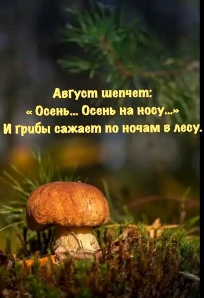 file_103352585