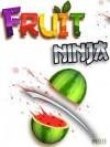 ninjafruit ru