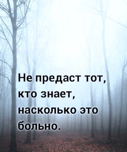 file_103504230