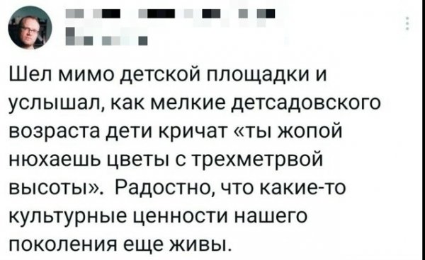 file_103279335