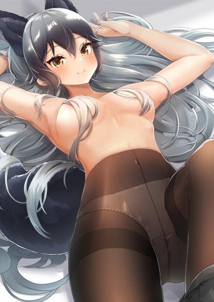 Silver Fox