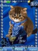 kitten