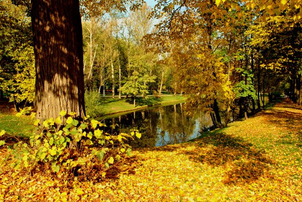Seasons Autumn Parks 399095