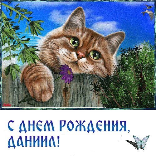file_84587385