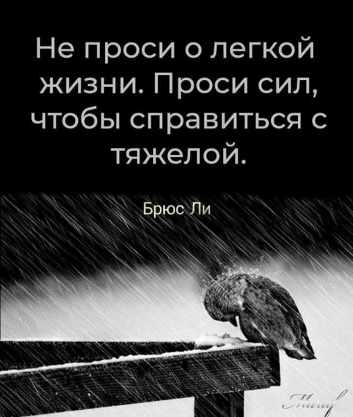 IMG 20260115 130400