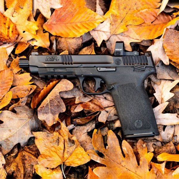 S&amp;W