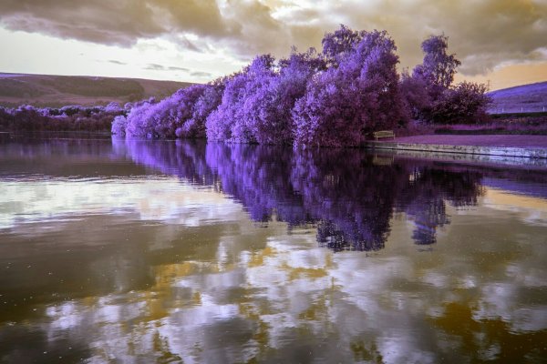 Reflections