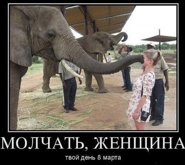 Молчать!