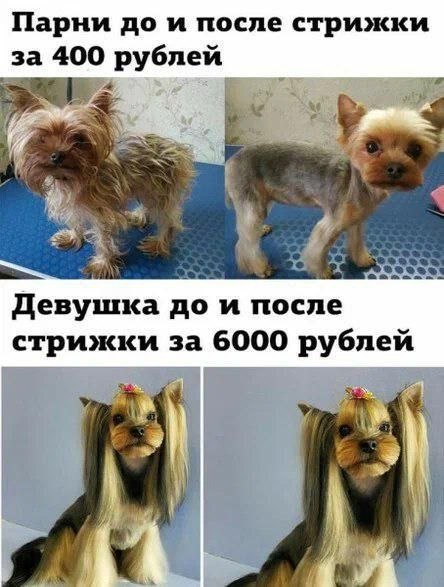 file_101537552