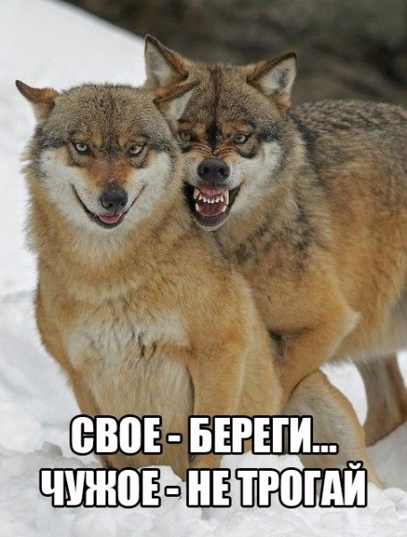 Запомни