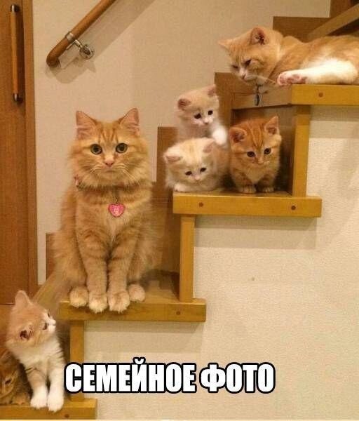 file_85599066