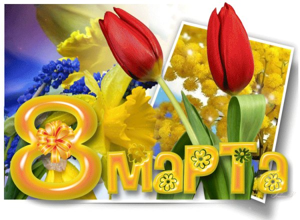 IMG 20210308 025833