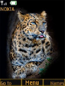 ЛЕОПАРД