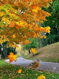 file_65586381