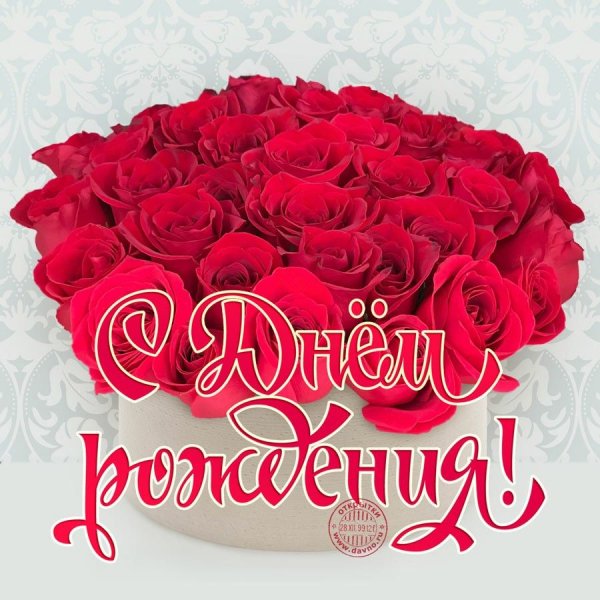 Fd3ffe13213c4c4310fba44de282c8c4