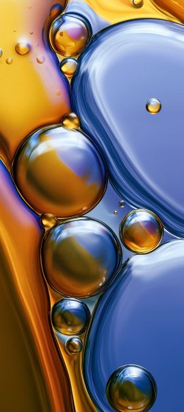 adapted 1080x2408 1789141072
