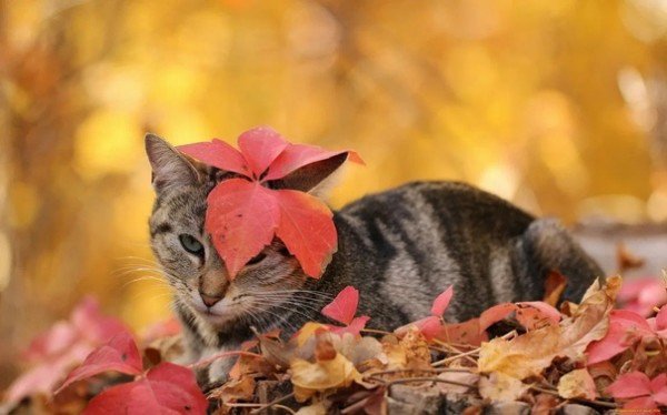 file_94968563