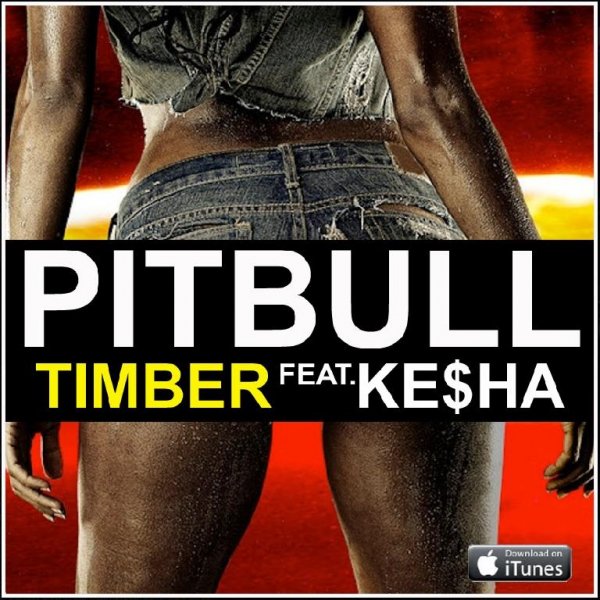 Pitbull ft. Kesha-Timber Cover(Full)