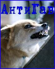 antigav