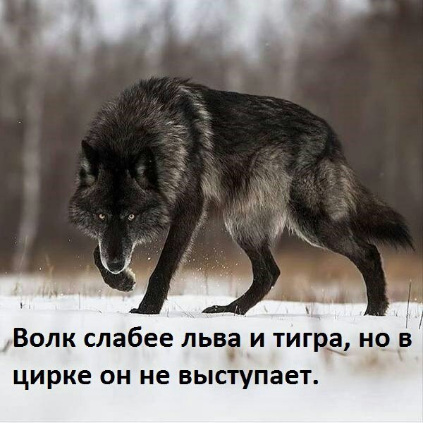 UID5488 1549809414 70