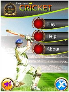 Pro Cricket 2014 240x320