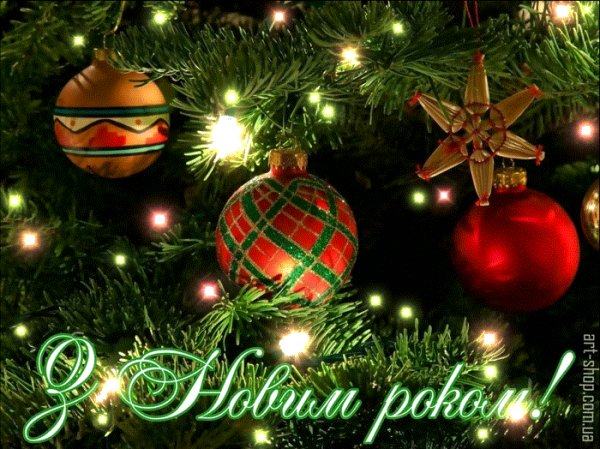 IMG 20181231 097654