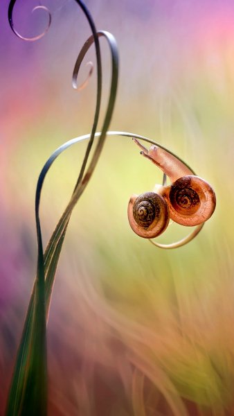 file_91036258