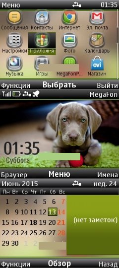 Doggie by Darina