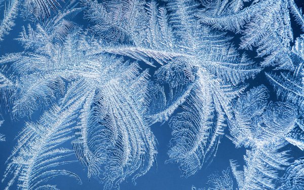 Frosty Art 3