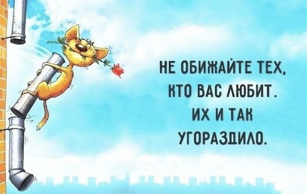 IMG 20260121 065236
