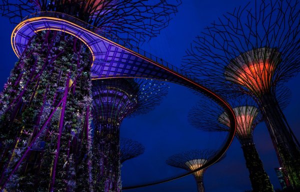 Singapore Gardens Gardens by the Bay Design Night