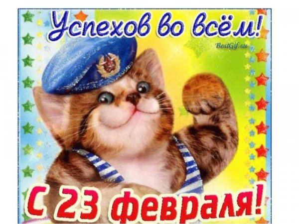 23 февраля